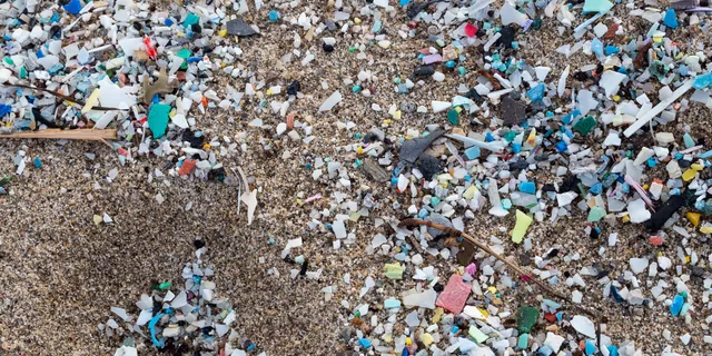 Plastic pollution in Florida